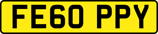 FE60PPY