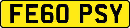 FE60PSY