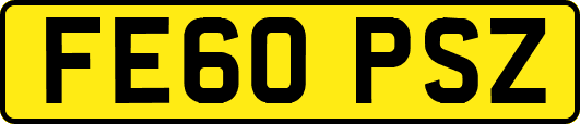 FE60PSZ