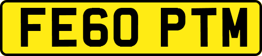 FE60PTM