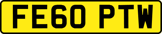 FE60PTW