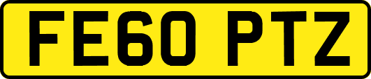 FE60PTZ