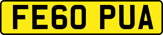 FE60PUA