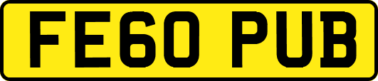 FE60PUB