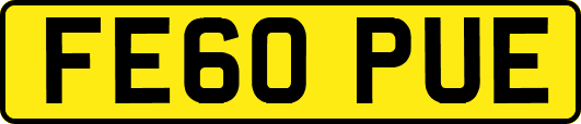 FE60PUE