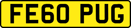 FE60PUG