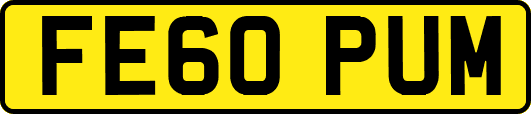 FE60PUM