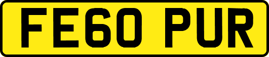 FE60PUR