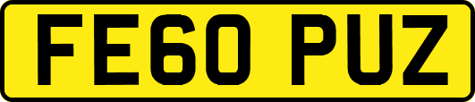 FE60PUZ