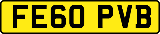 FE60PVB
