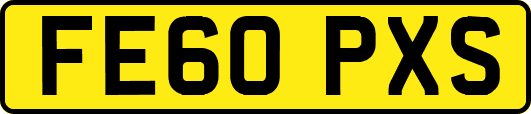 FE60PXS