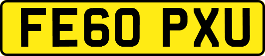 FE60PXU