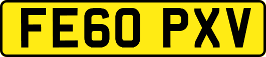 FE60PXV