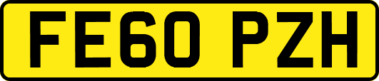 FE60PZH