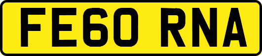 FE60RNA