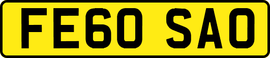 FE60SAO