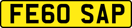 FE60SAP