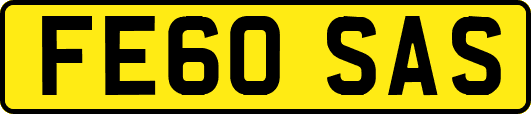 FE60SAS