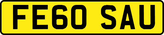 FE60SAU
