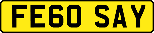 FE60SAY