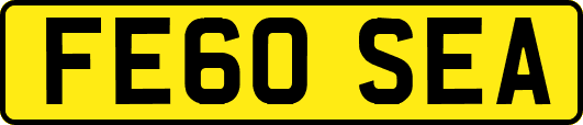 FE60SEA