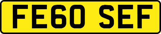 FE60SEF