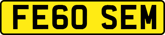 FE60SEM