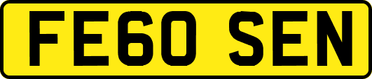 FE60SEN