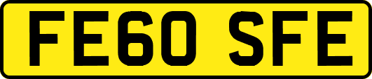 FE60SFE