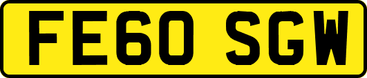 FE60SGW