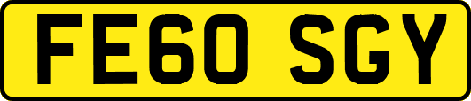 FE60SGY