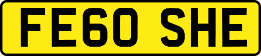 FE60SHE