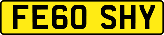 FE60SHY