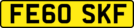 FE60SKF