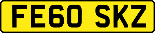 FE60SKZ