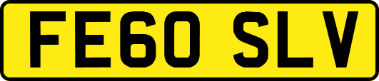 FE60SLV