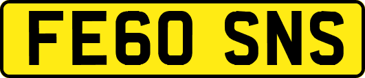 FE60SNS