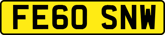 FE60SNW