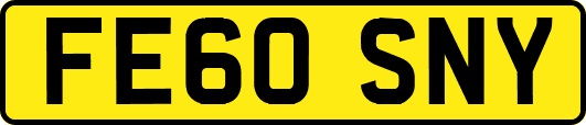 FE60SNY