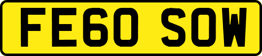 FE60SOW