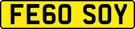 FE60SOY