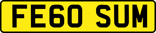 FE60SUM