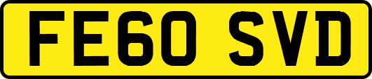 FE60SVD