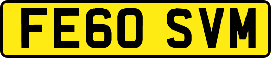 FE60SVM