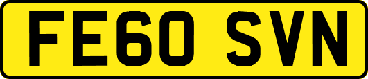 FE60SVN