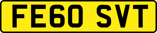 FE60SVT