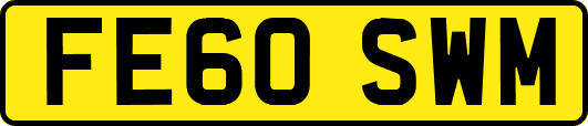 FE60SWM