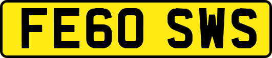 FE60SWS
