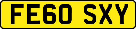 FE60SXY