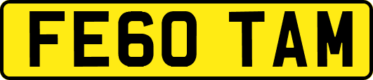 FE60TAM